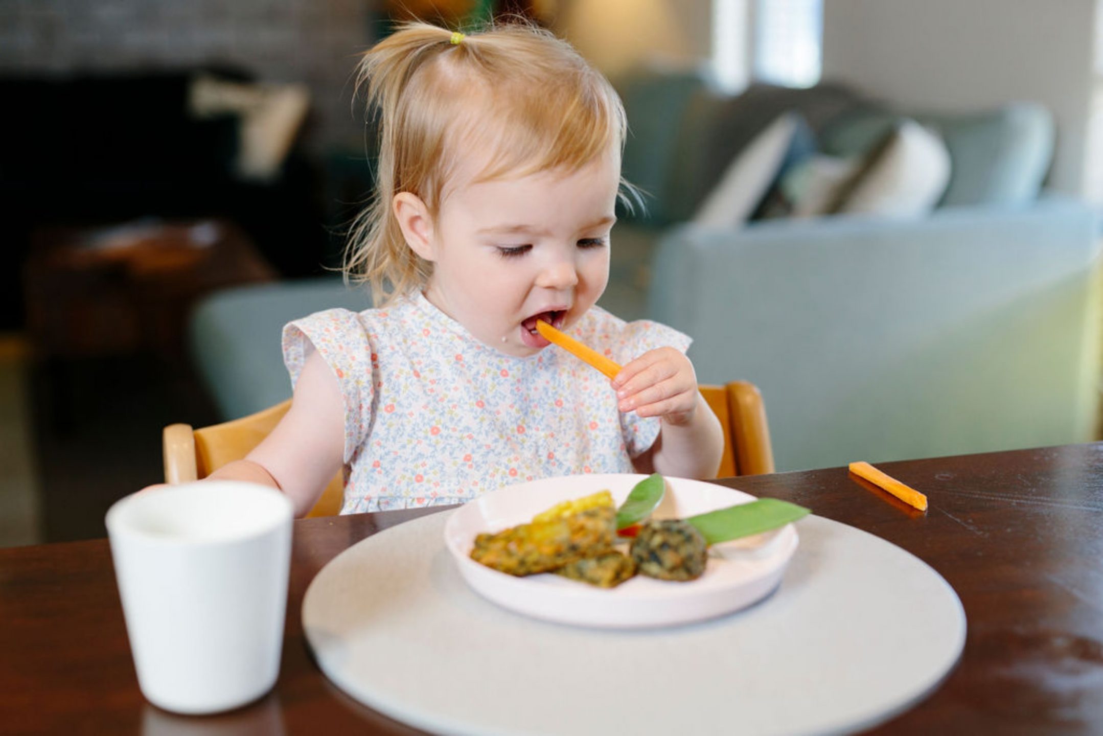 Joint Membership | Baby Mealtimes